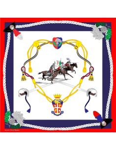Foulard ANC