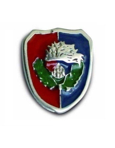 Spilla ANC 2010