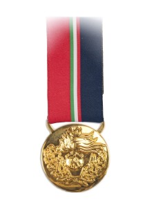 Medaglia ANC Fedeltà Oro