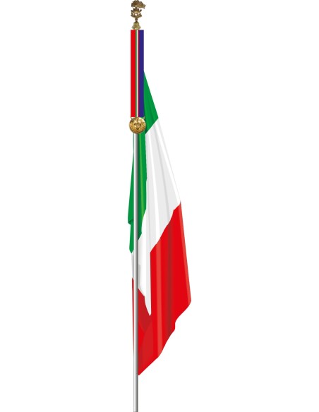 Medaglia Dorata ANC Medaglia Dorata ANC