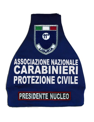 Scudetto di Reparto ANC