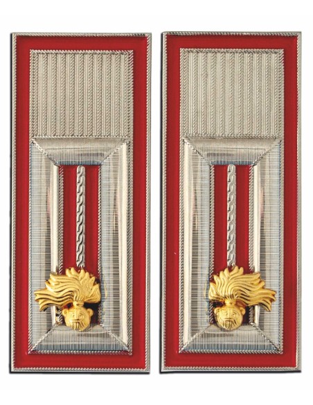 Coppia di Alamari ANC in Metallo 