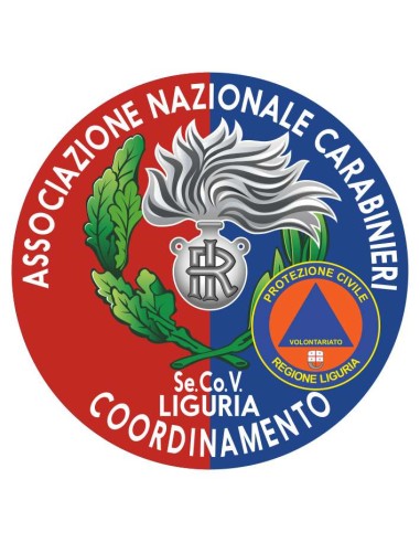 copy of Distintivo Volontariato ANC