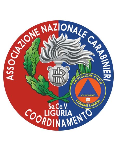 copy of Distintivo Volontariato ANC