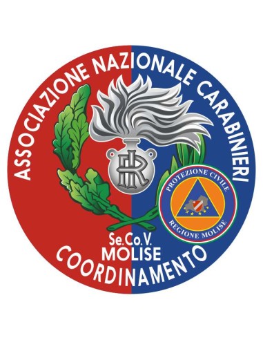 copy of Distintivo Volontariato ANC