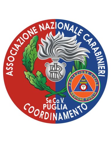 copy of Distintivo Volontariato ANC