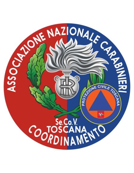 copy of Distintivo Volontariato ANC