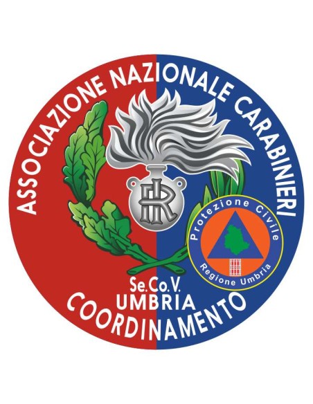copy of Distintivo Volontariato ANC