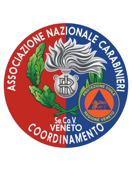 copy of Distintivo Volontariato ANC